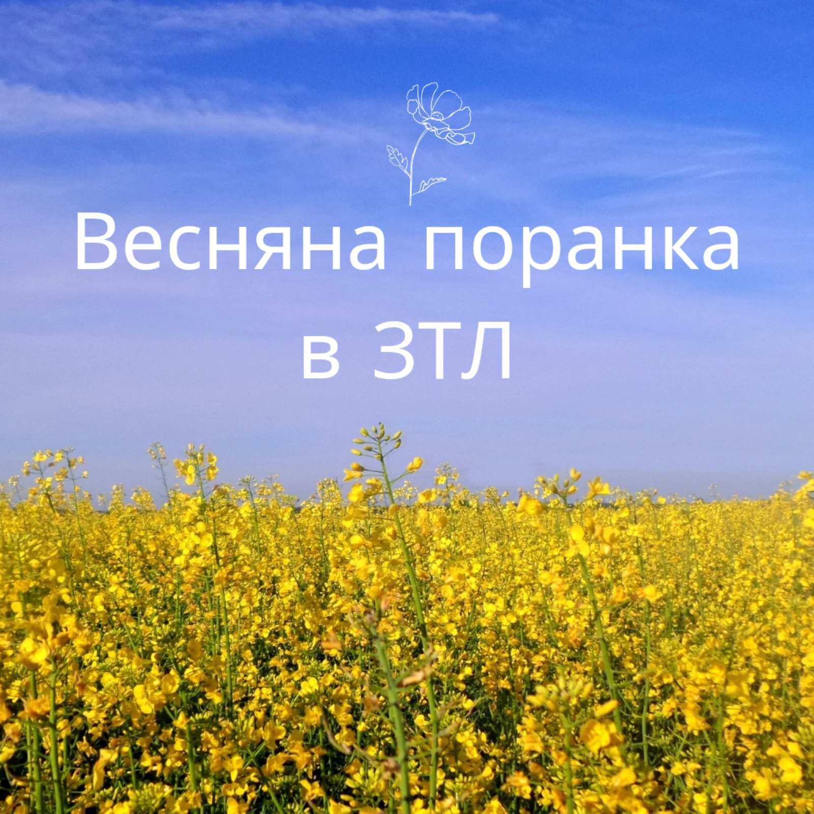 Vesnyanaporanka18042025/Vesnyanaporanka18042025_01.jpg